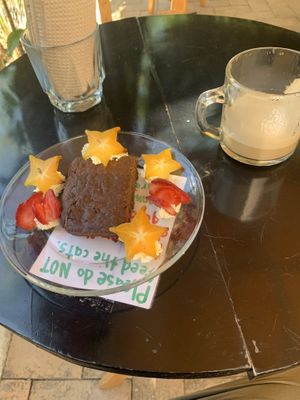   at La Selva de los Gatos in Oaxaca