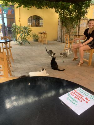   at La Selva de los Gatos in Oaxaca