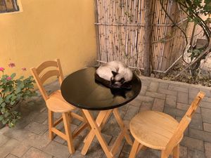   at La Selva de los Gatos in Oaxaca