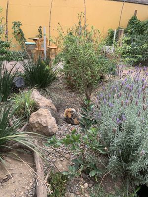   at La Selva de los Gatos in Oaxaca