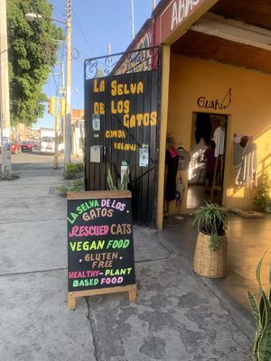   at La Selva de los Gatos in Oaxaca