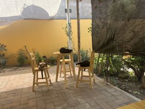 It should go without saying that there is cat hair.  at La Selva de los Gatos in Oaxaca