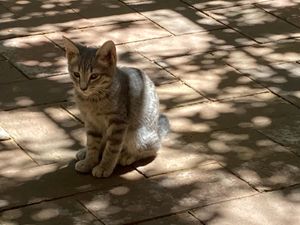 at La Selva de los Gatos in Oaxaca