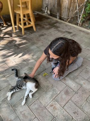   at La Selva de los Gatos in Oaxaca