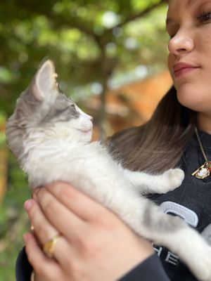   at La Selva de los Gatos in Oaxaca