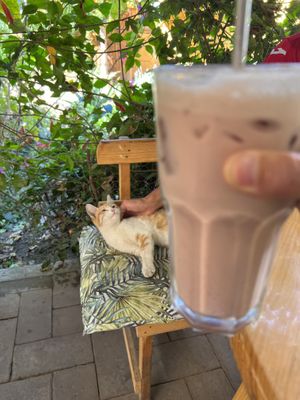   at La Selva de los Gatos in Oaxaca