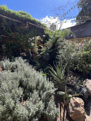   at La Selva de los Gatos in Oaxaca