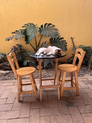   at La Selva de los Gatos in Oaxaca