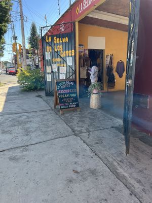   at La Selva de los Gatos in Oaxaca