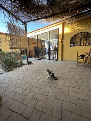   at La Selva de los Gatos in Oaxaca