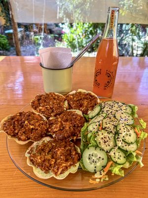   at La Selva de los Gatos in Oaxaca