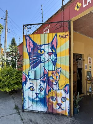   at La Selva de los Gatos in Oaxaca