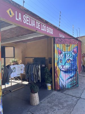   at La Selva de los Gatos in Oaxaca