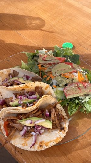 Mushroom Tacos  at La Selva de los Gatos in Oaxaca