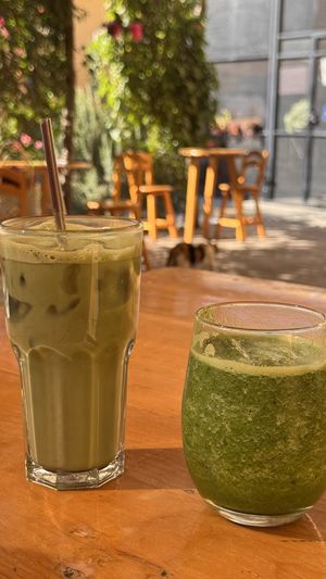 Green Smoothie and Match  at La Selva de los Gatos in Oaxaca