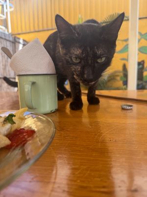  at La Selva de los Gatos in Oaxaca