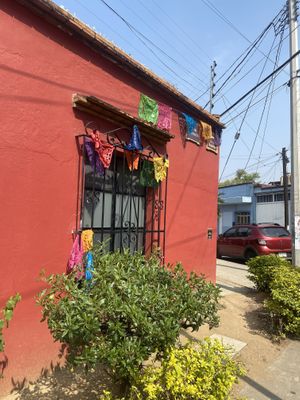 Walking Distance from Me - But Closed 😭  at La Selva de los Gatos in Oaxaca