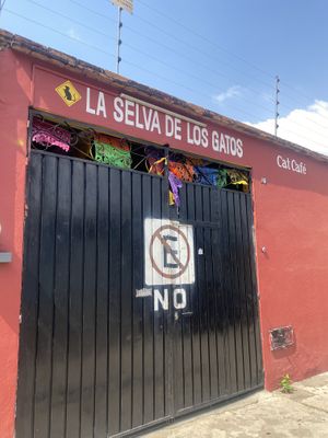 Super Cute - Vegan Friendly Place Spotted 👀  at La Selva de los Gatos in Oaxaca