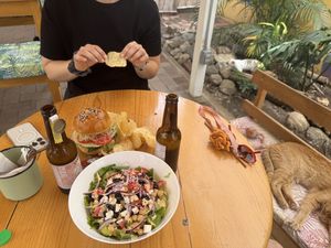 Food and cat   at La Selva de los Gatos in Oaxaca