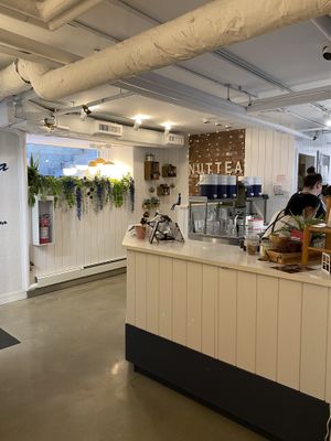   at NUTTEA in Edmonton