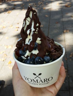 Soja frozen yogurt with dark chocolate sauce & blueberries at YOMARO - Wolbecker Str in Muenster