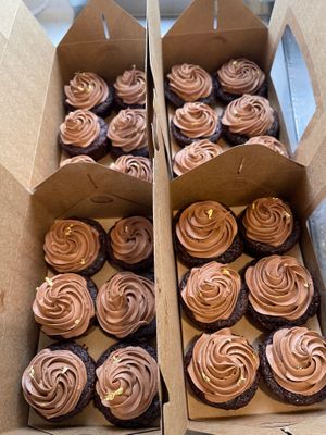 GF- Chocolate Cupcakes at Indigo Valley in Wasilla