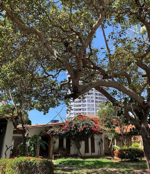 facade on @embarcocultural at Nabati Comida Vegana in Natal