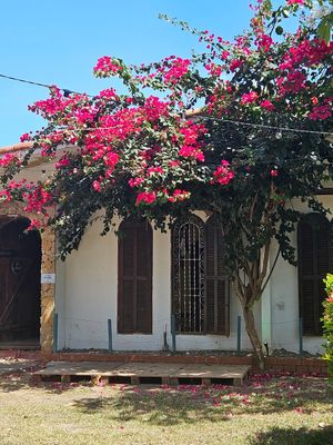  at Nabati Comida Vegana in Natal