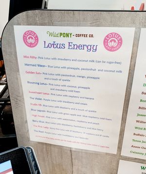 Sign at Wild Pony Coffee Co in Evansville