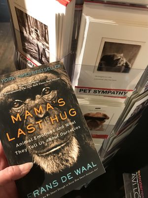 animal-friendly books and cards  at Taylor Books in Charleston