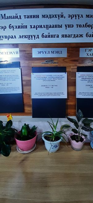  at Govinda's Healthy Cafe in Ulaanbaatar