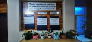  at Govinda's Healthy Cafe in Ulaanbaatar