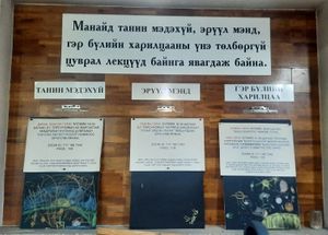 Announcement about online free lectures  at Govinda's Healthy Cafe in Ulaanbaatar