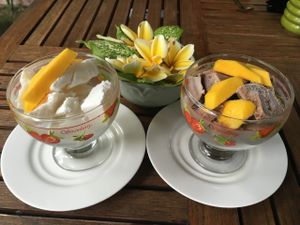 The oh so tasty coconut icecream (chocolate and vanilla pictured) with fresh mango. SOOOOOO Tasty at Tasty Vegan in Seminyak