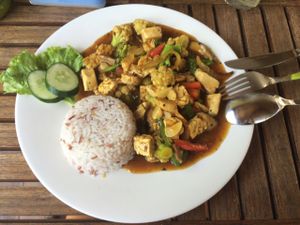nasi lada hitam at Tasty Vegan in Seminyak