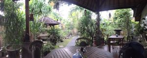 Inside a small beautiful garden  at Tasty Vegan in Seminyak