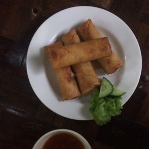 Spring Rolls at Tasty Vegan in Seminyak