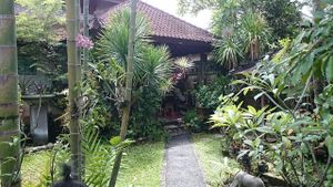 The homely garden at Tasty Vegan in Seminyak