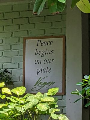  at Tasty Vegan in Seminyak