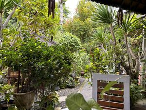 Outdoor area  at Tasty Vegan in Seminyak