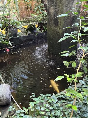   at Tasty Vegan in Seminyak