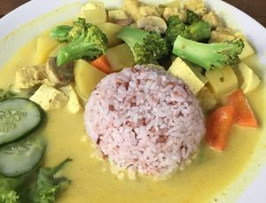 Nasi Kare at Tasty Vegan in Seminyak