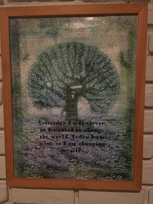 "Yesterday I was cleaver so I wanted to change the world.  Today I am wise so I am changing myself."  Rumi at Tasty Vegan in Seminyak