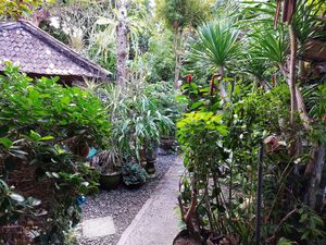 The lovely garden dining area. at Tasty Vegan in Seminyak