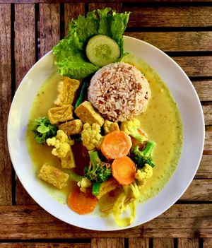 nasi kare at Tasty Vegan in Seminyak