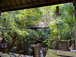   at Tasty Vegan in Seminyak