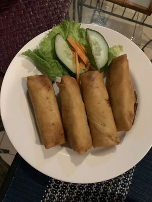Spring rolls at Tasty Vegan in Seminyak