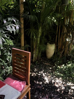 Corner of garden seating area  at Tasty Vegan in Seminyak