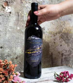 Nuestra gama de vinos premium te espera en
La Route Des Vins ®.

¡Nuestro vino Gravedad hecho a base 100% de tinta de toro te va a encantar!
 at La Route Des Vins - Huexotitla in Puebla