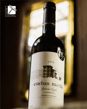 ¿Estás iniciando en el mundo del vino?

Entonces te recomendamos este vino joven de la Bodega Esteban Martín. at La Route Des Vins - Huexotitla in Puebla